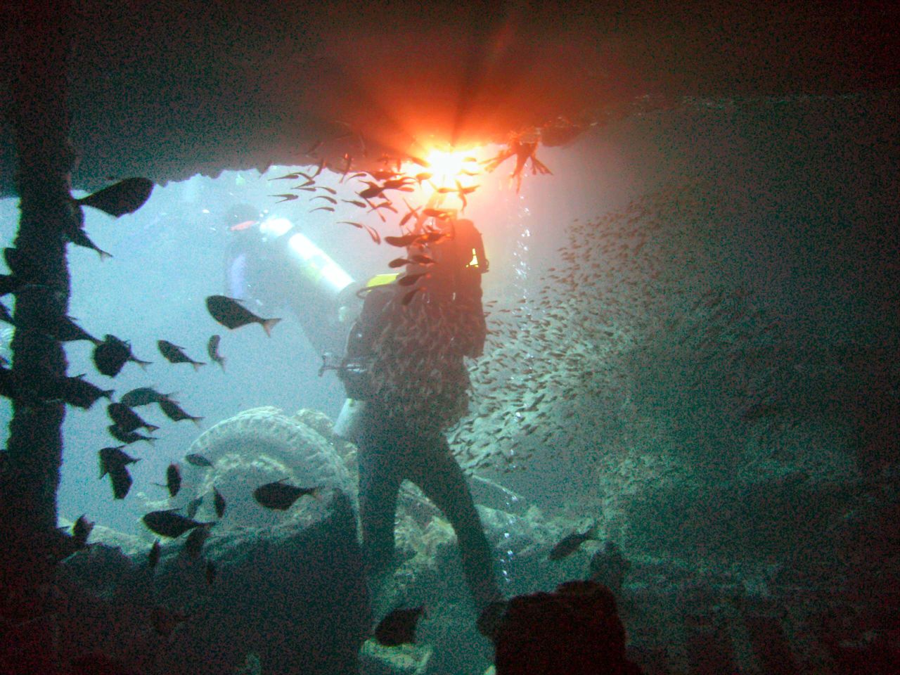 Scuba divers underwater