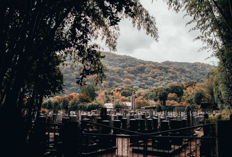 a japanese graveyard