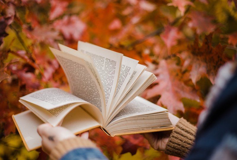 A woman reading a book