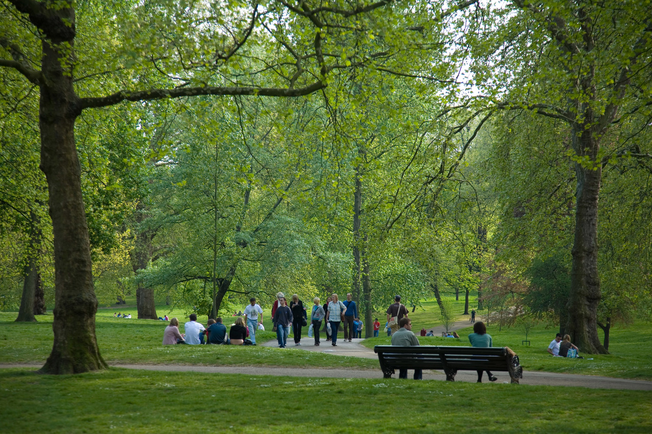 The park