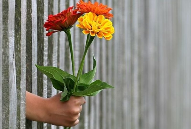 hand holding flowers