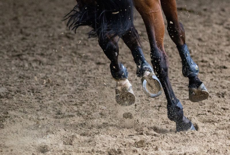 horse hooves galloping in the dirt