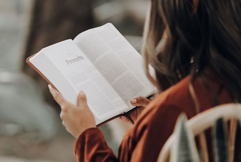 A young woman reading a book