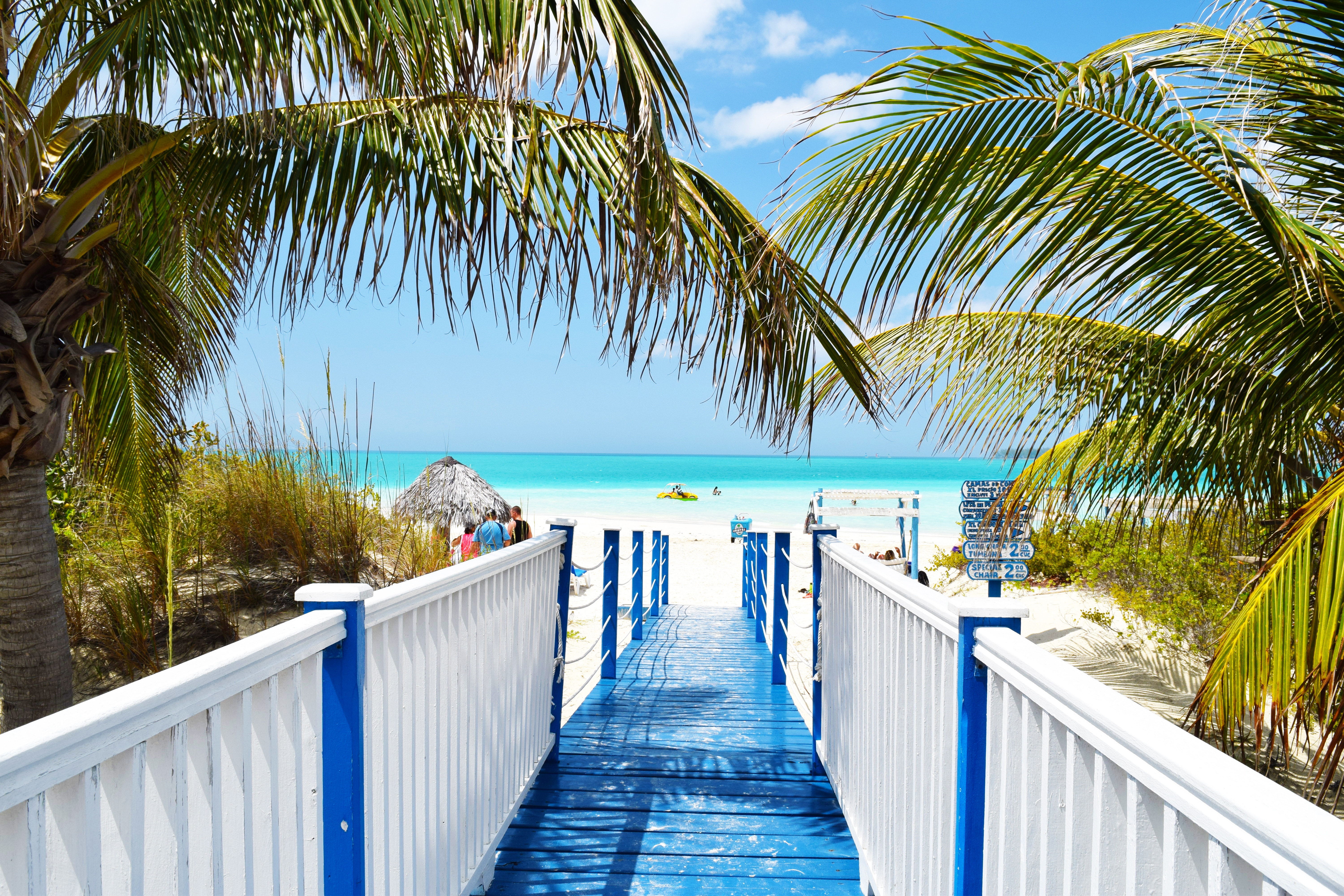 Tropical Scene With Palm Trees