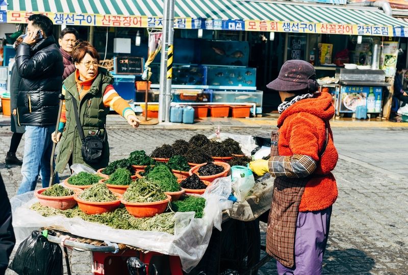 Korean woman selling various sea vegetables