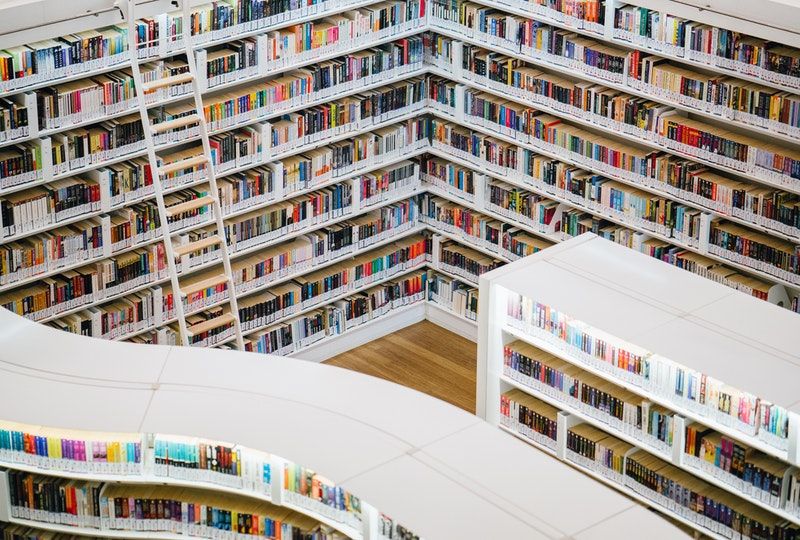 shelves of books