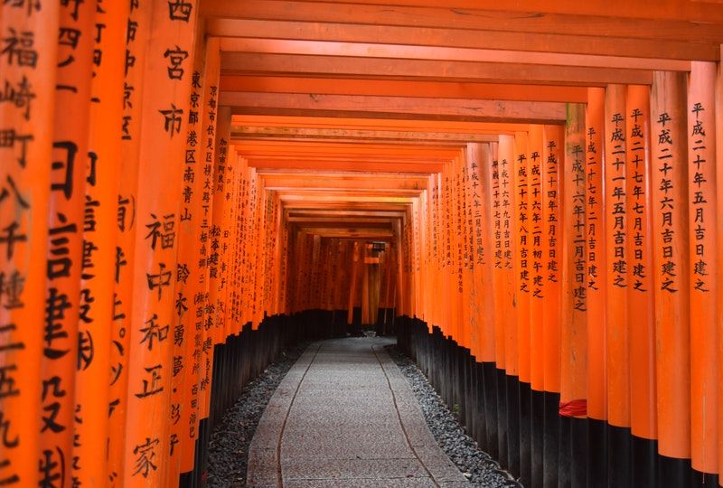 Japanese shrine gate tunnel