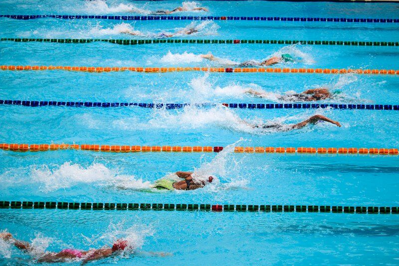 swimmers racing in a large pool