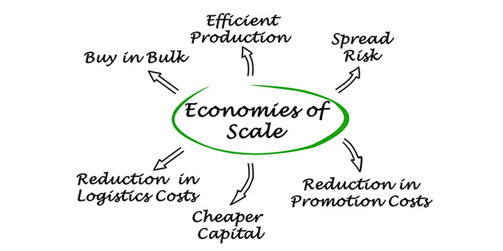 scale-economy_f-2