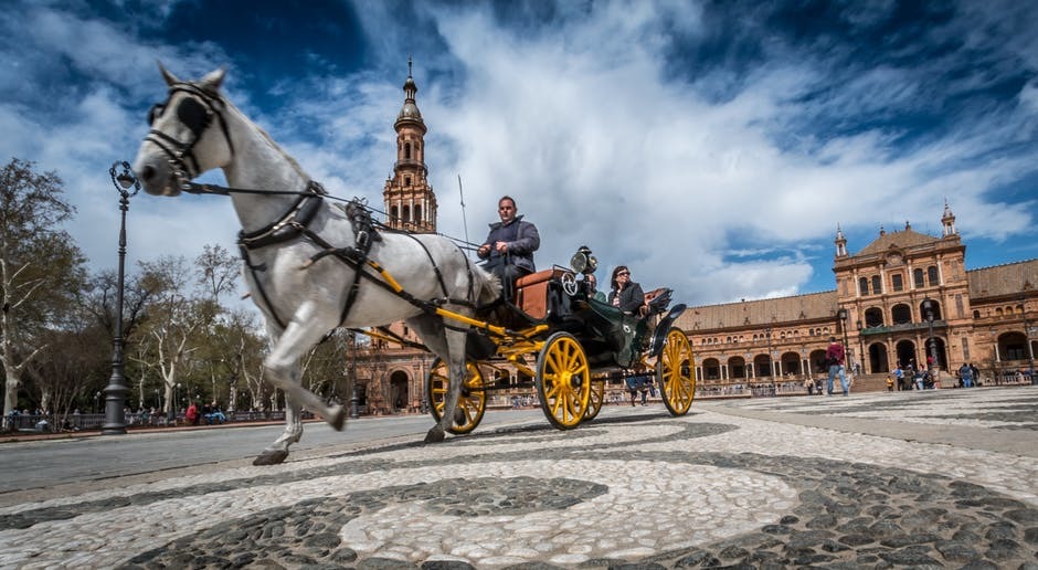 horse driving a cart