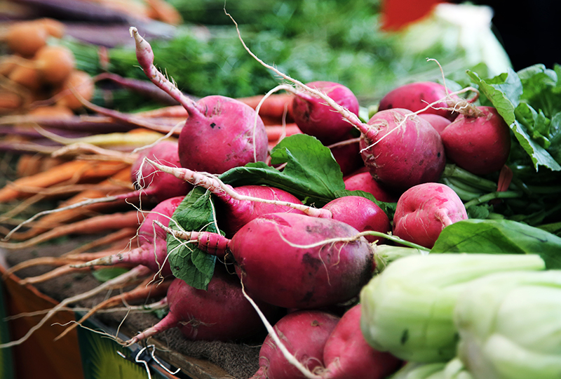 Spanish Idioms Expressions Radish