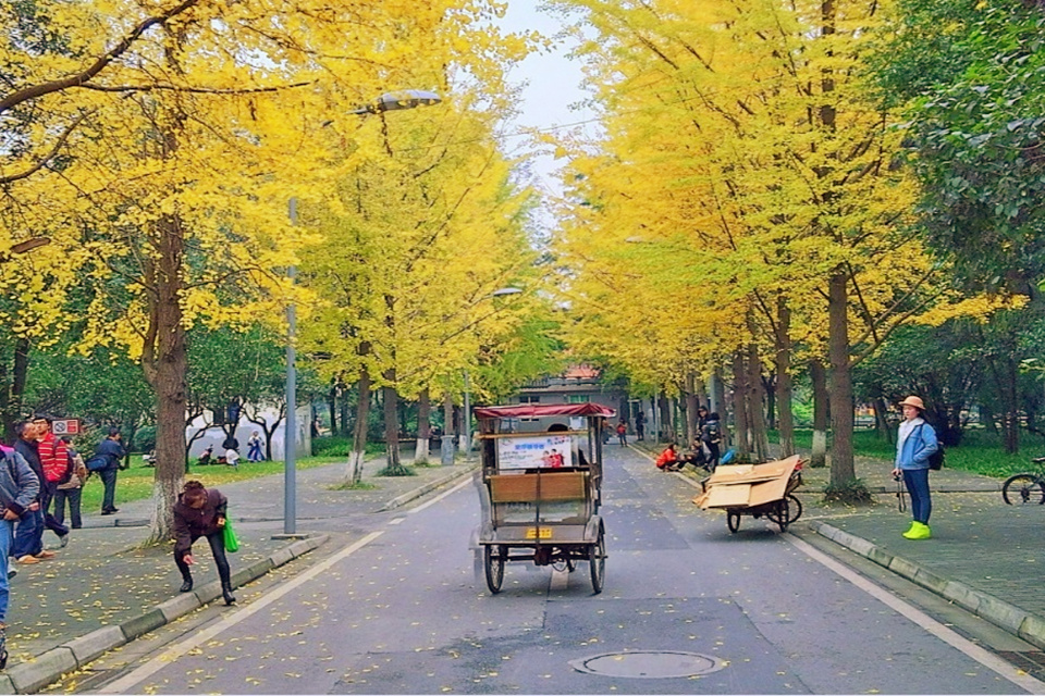 Taking-a-Rickshaw-in-Southern-China-1