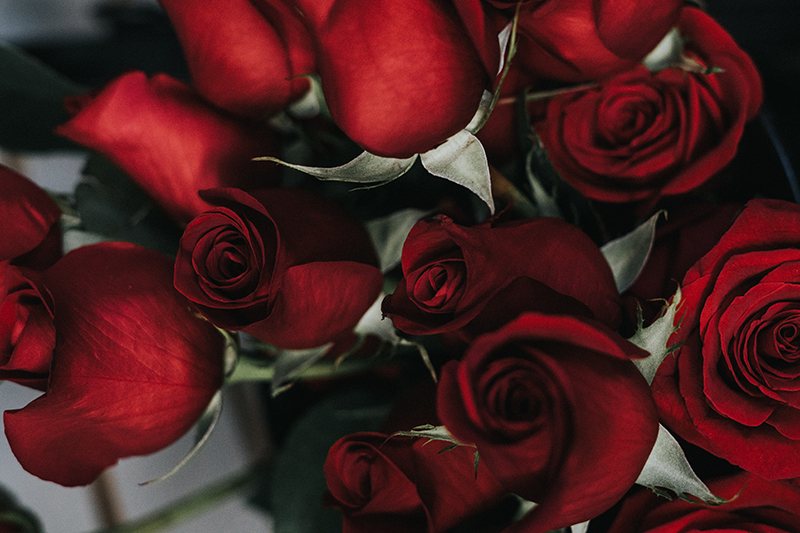 Valentines Red Roses