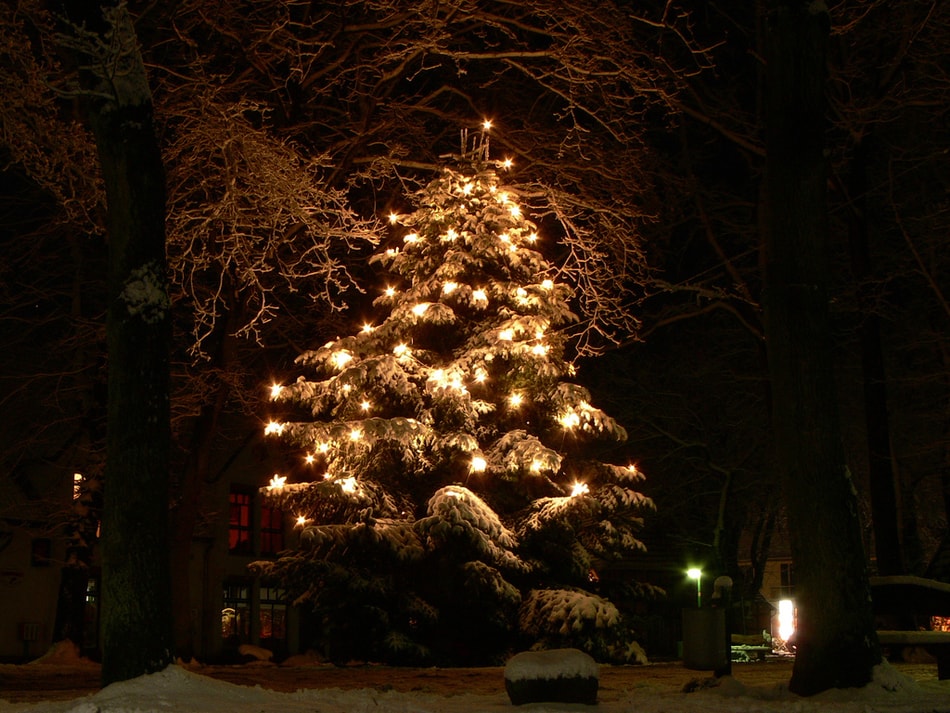 Christmas tree in Spanish