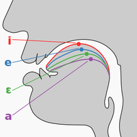 Vowel representation